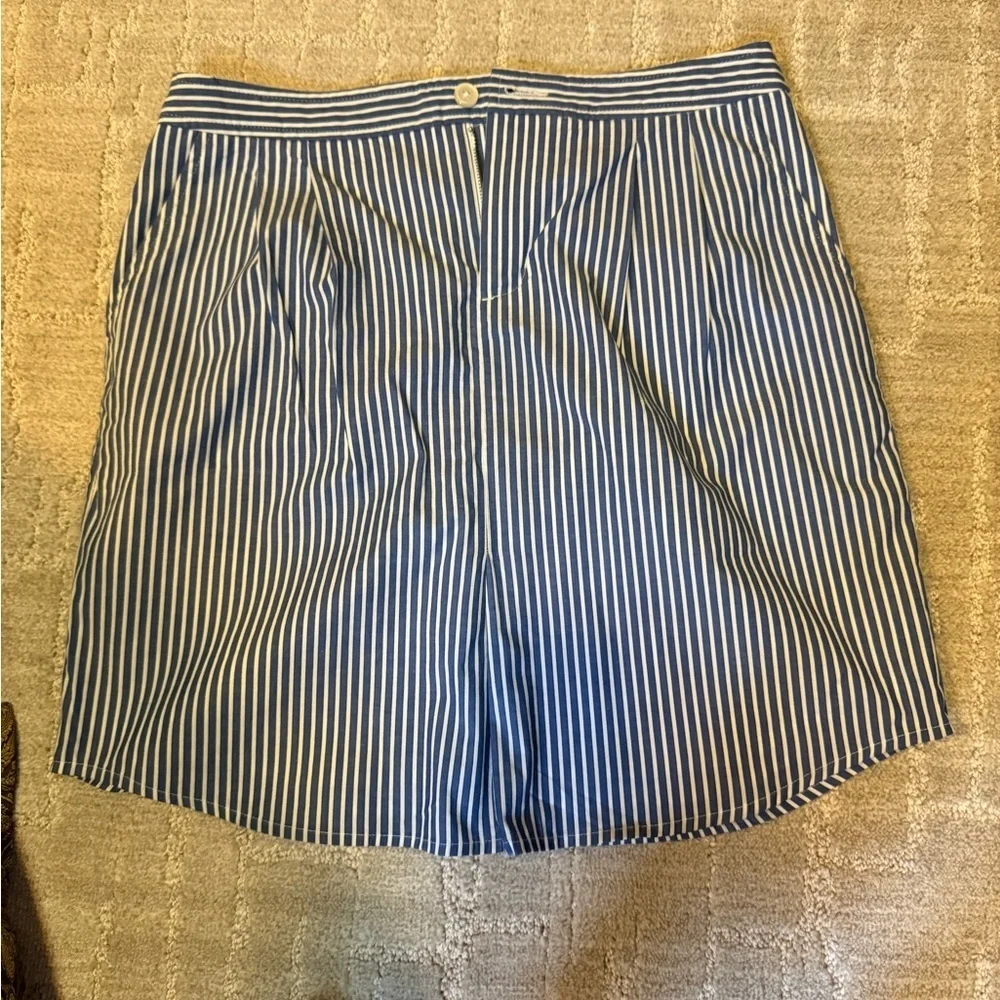 Banana Republic Blue and White Striped Mini Skirt‎